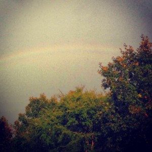 rainbow, promises, Rebekah Gilbert