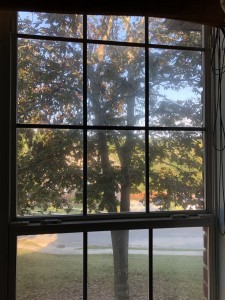 eulogy-for-tree, mourn, seasons